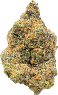 GLITTER BOMB - Folly Exotics