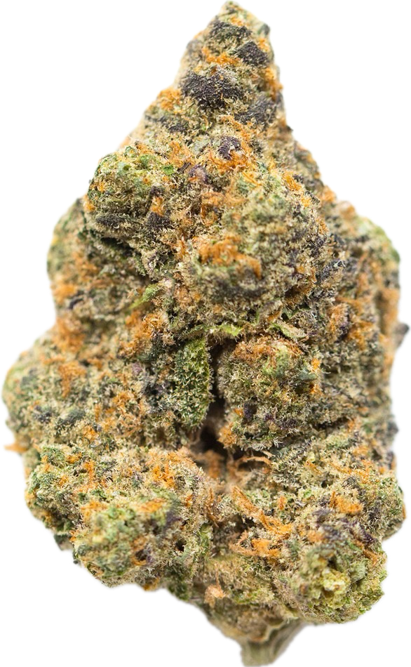 GLITTER BOMB - Folly Exotics