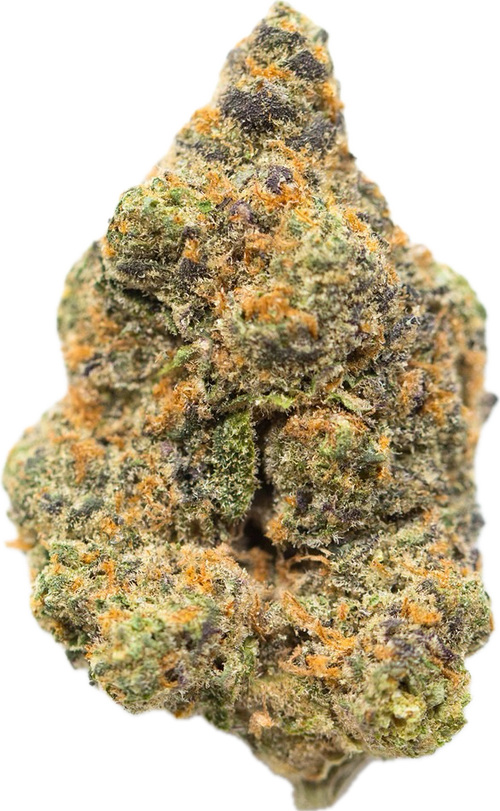 GLITTER BOMB - Folly Exotics
