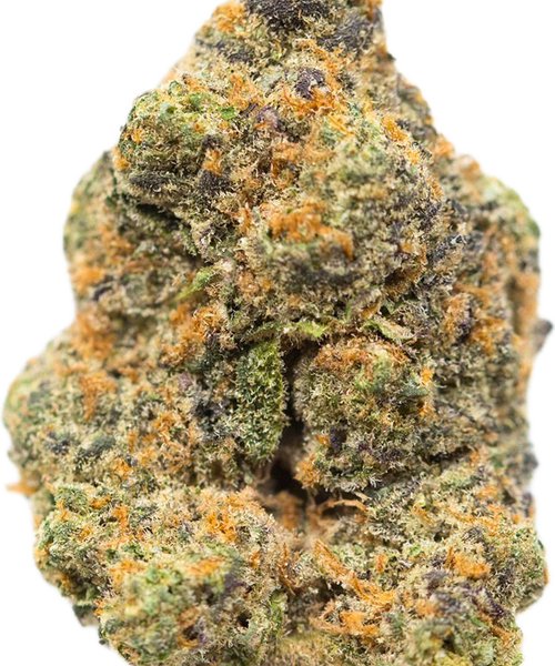 GLITTER BOMB