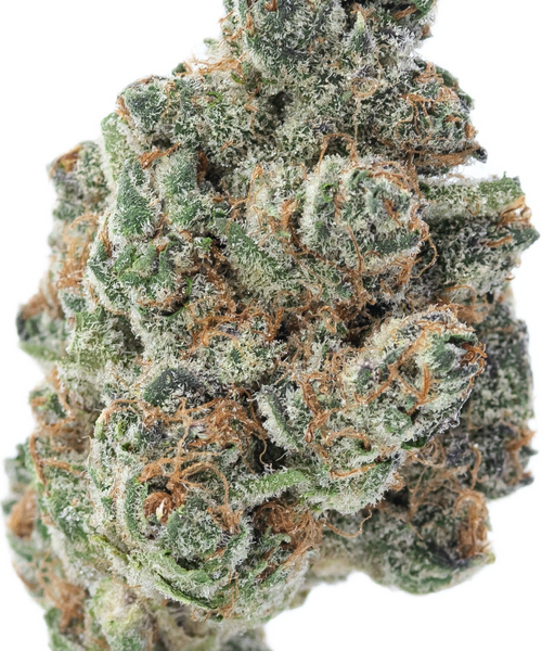 MADDFRUIT