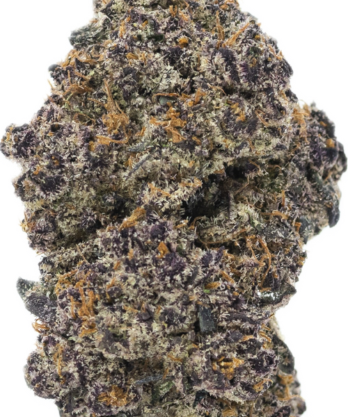 PURPLE CHURRO