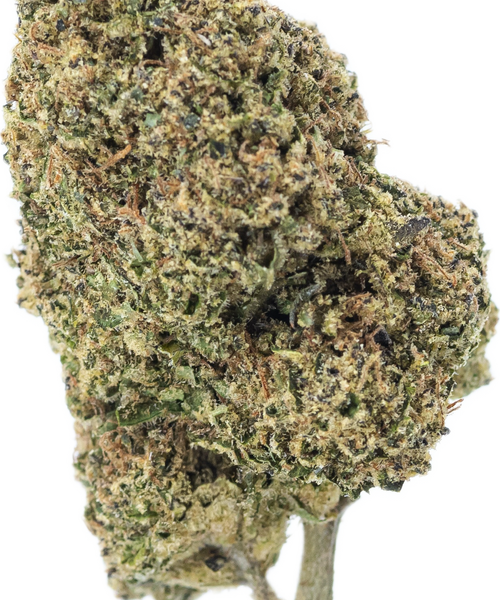 STRAWBERRY AMNESIA