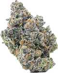 WHITE CHOCOLATE CHIP - Folly Exotics