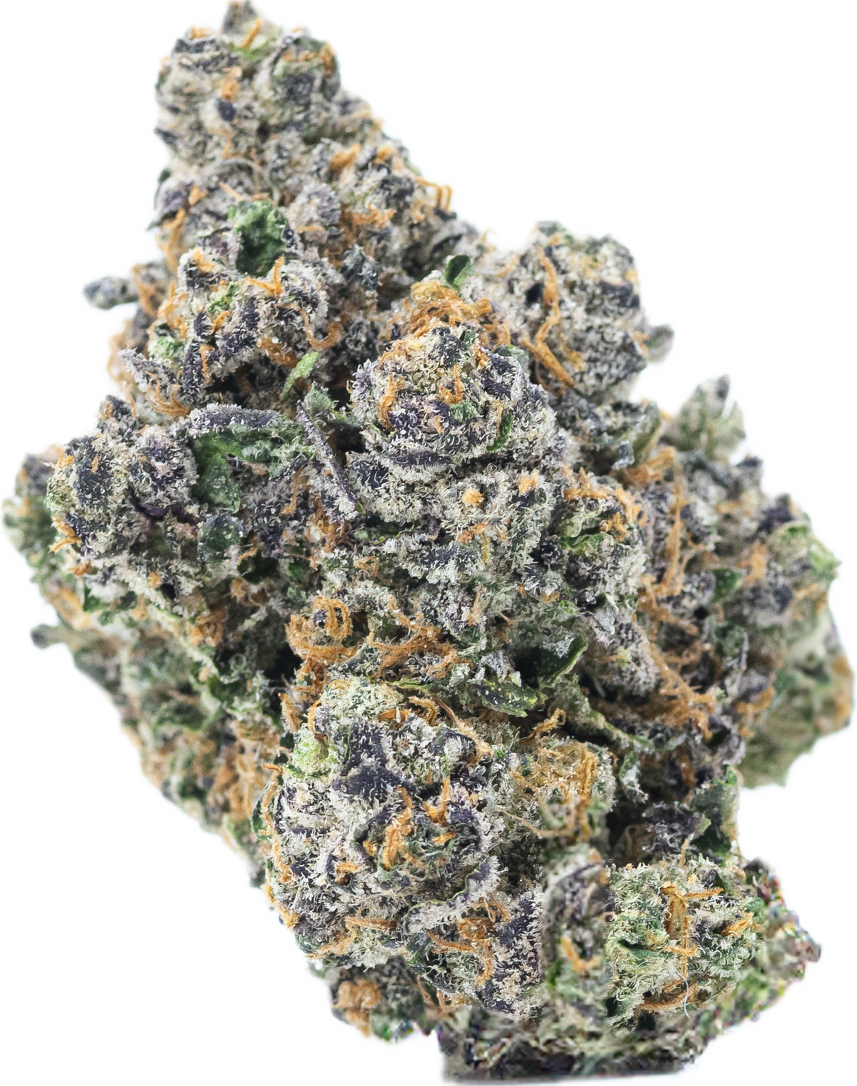 WHITE CHOCOLATE CHIP - Folly Exotics
