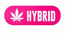 Hybrid